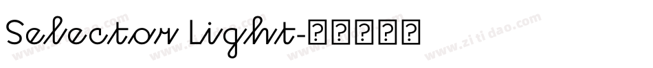 Selector Light字体转换